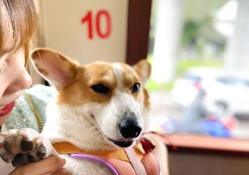 2023娱乐吃瓜爆料